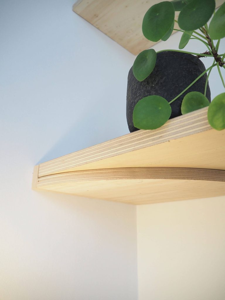 détail plante posée sur étagère