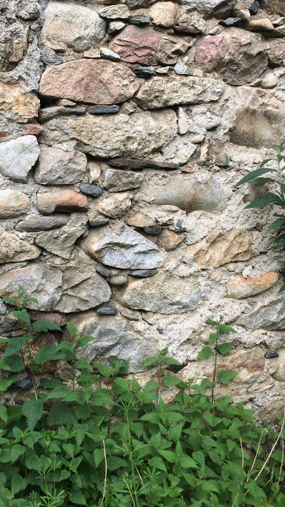 photo détail texture mur pierres anciennes et végétation