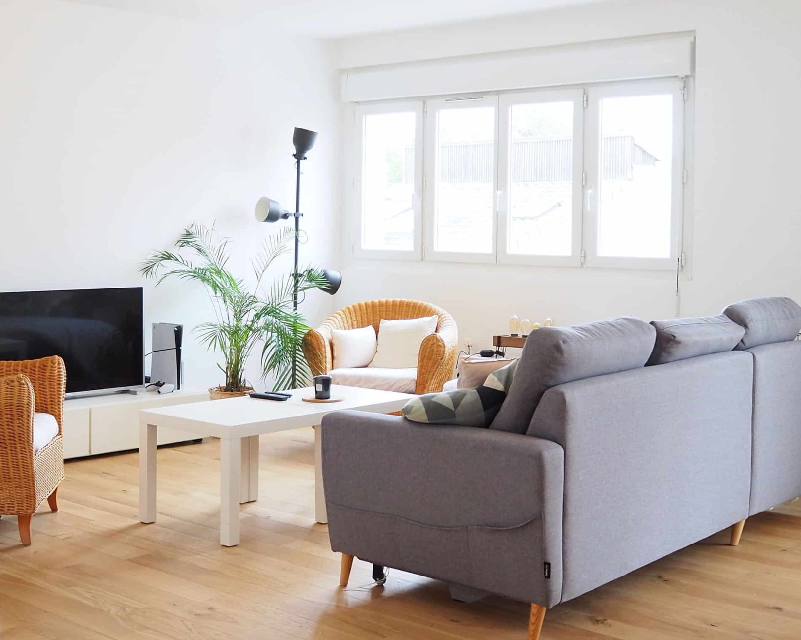 photo appartement salon