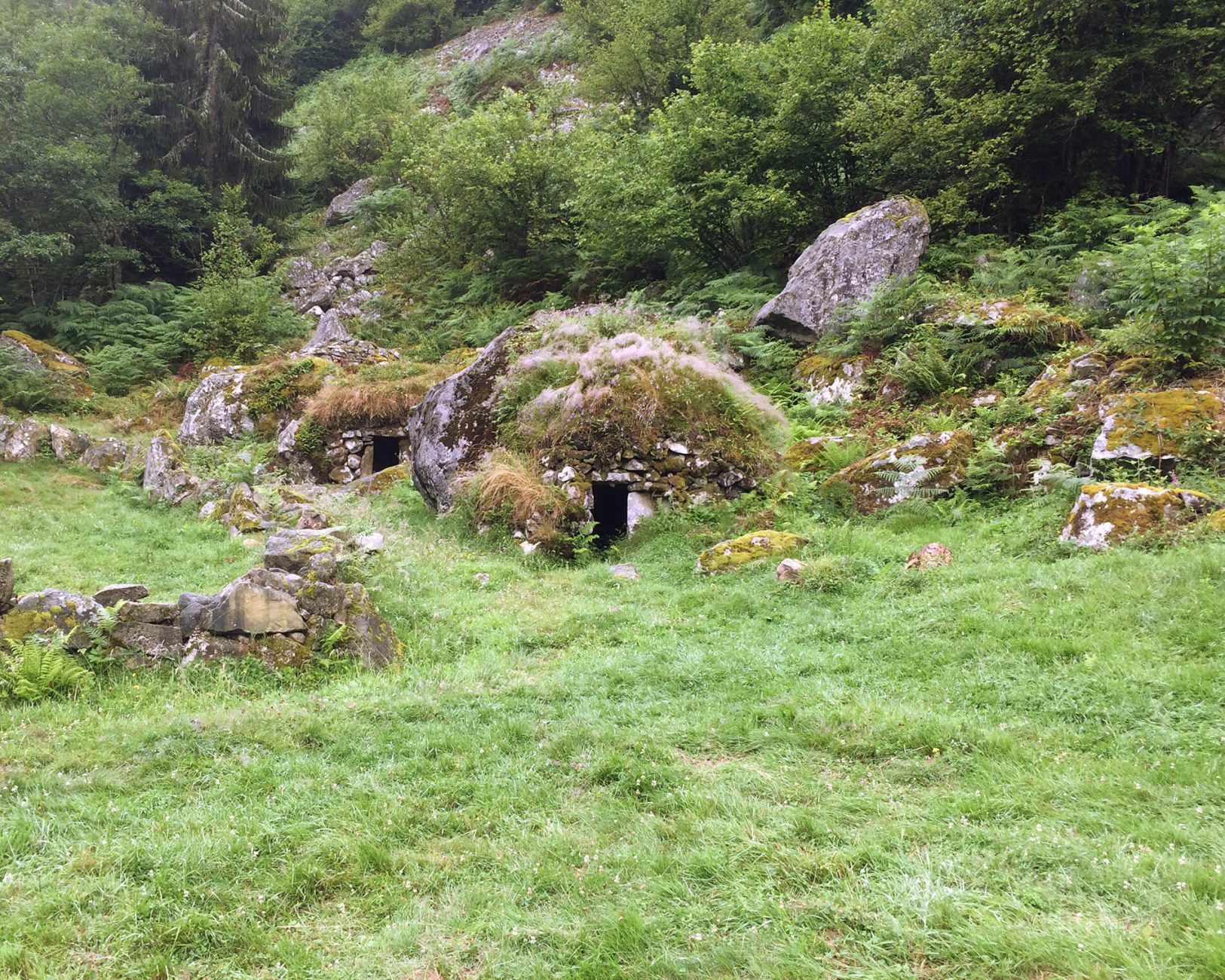 photo orris Courtal de Peyre Auselère